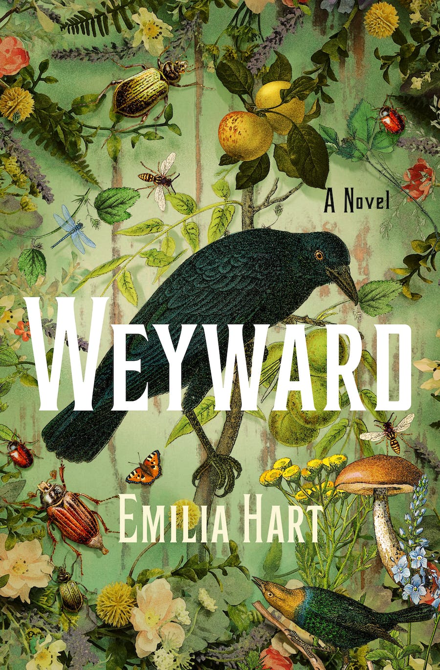 Weyward by Emilia Hart ~&nbsp;Review