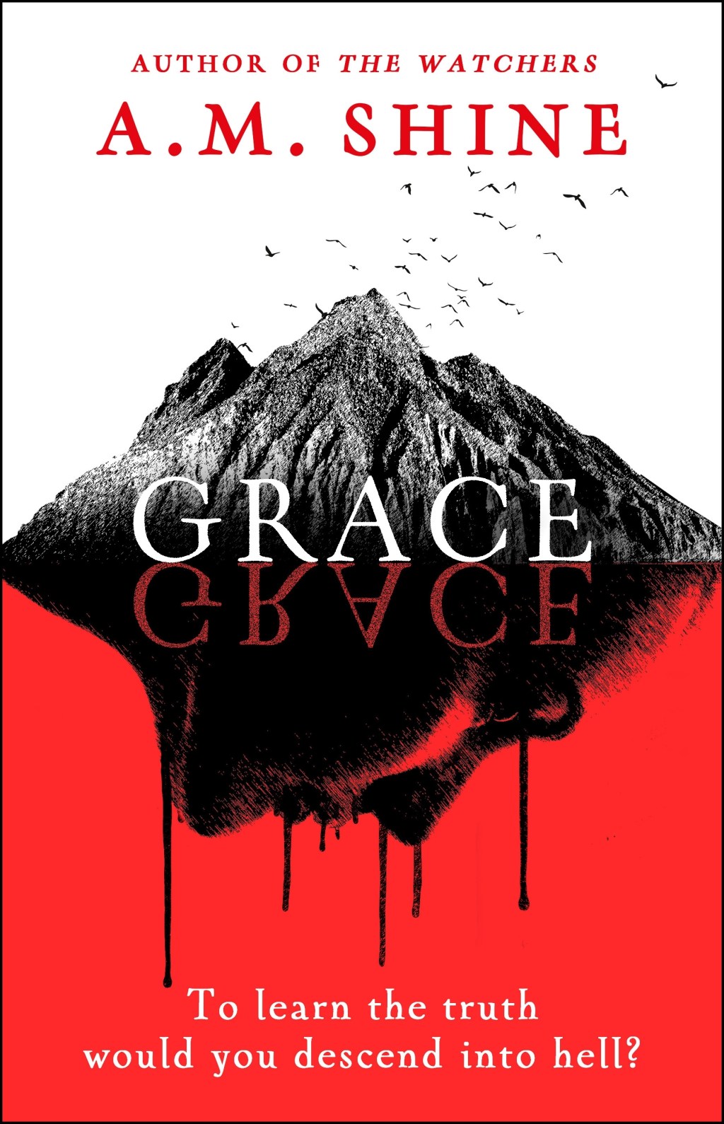 Grace by A.M. Shine –&nbsp;Review