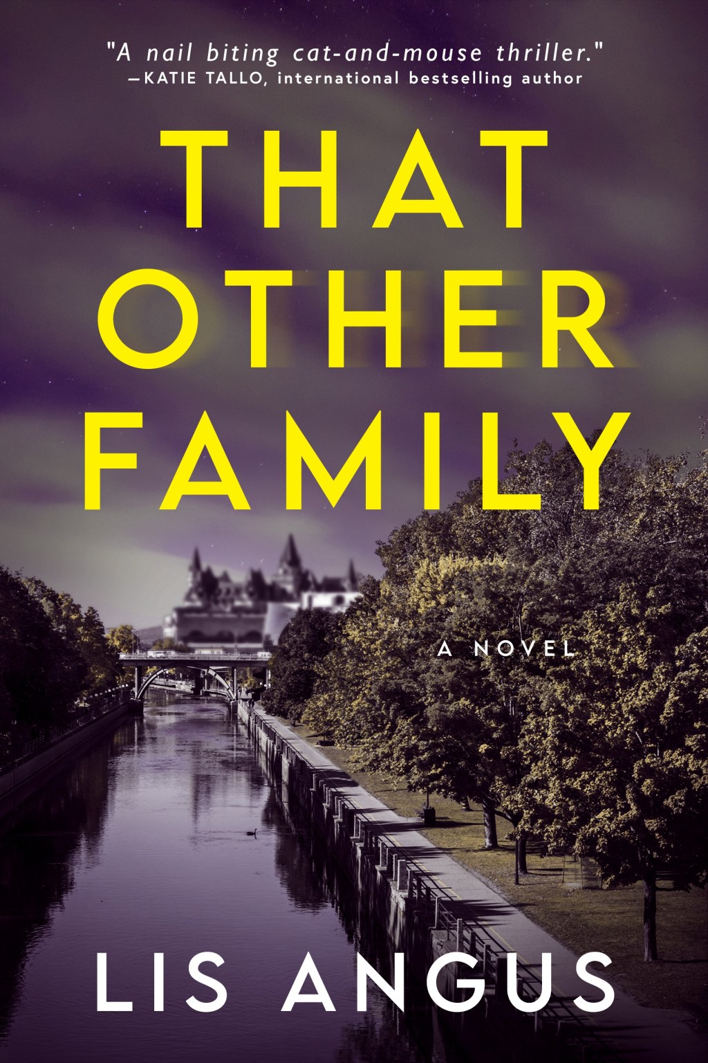 Book Review & Giveaway : That Other Family, Lis&nbsp;Angus