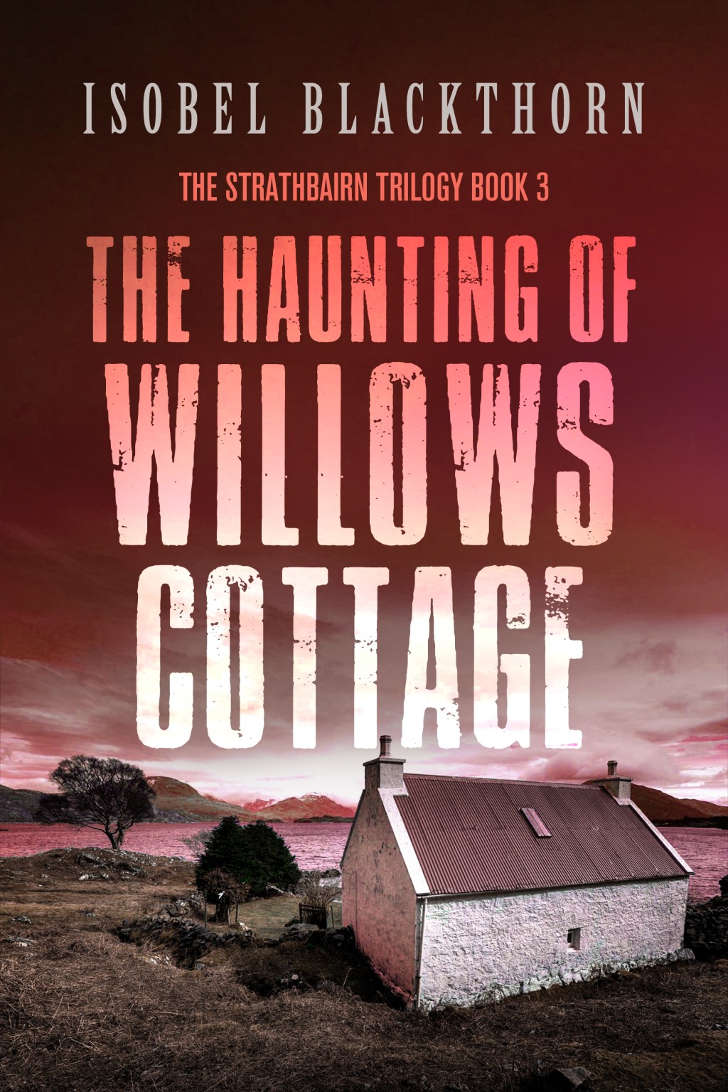 Review: The Haunting of Willows Cottage