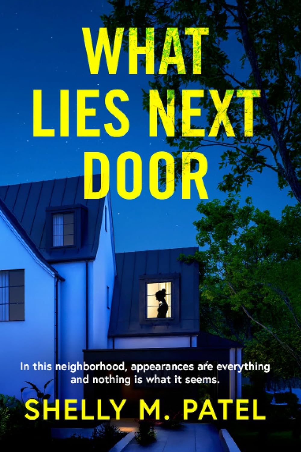 Review: What Lies Next Door by Shelly M.&nbsp;Patel