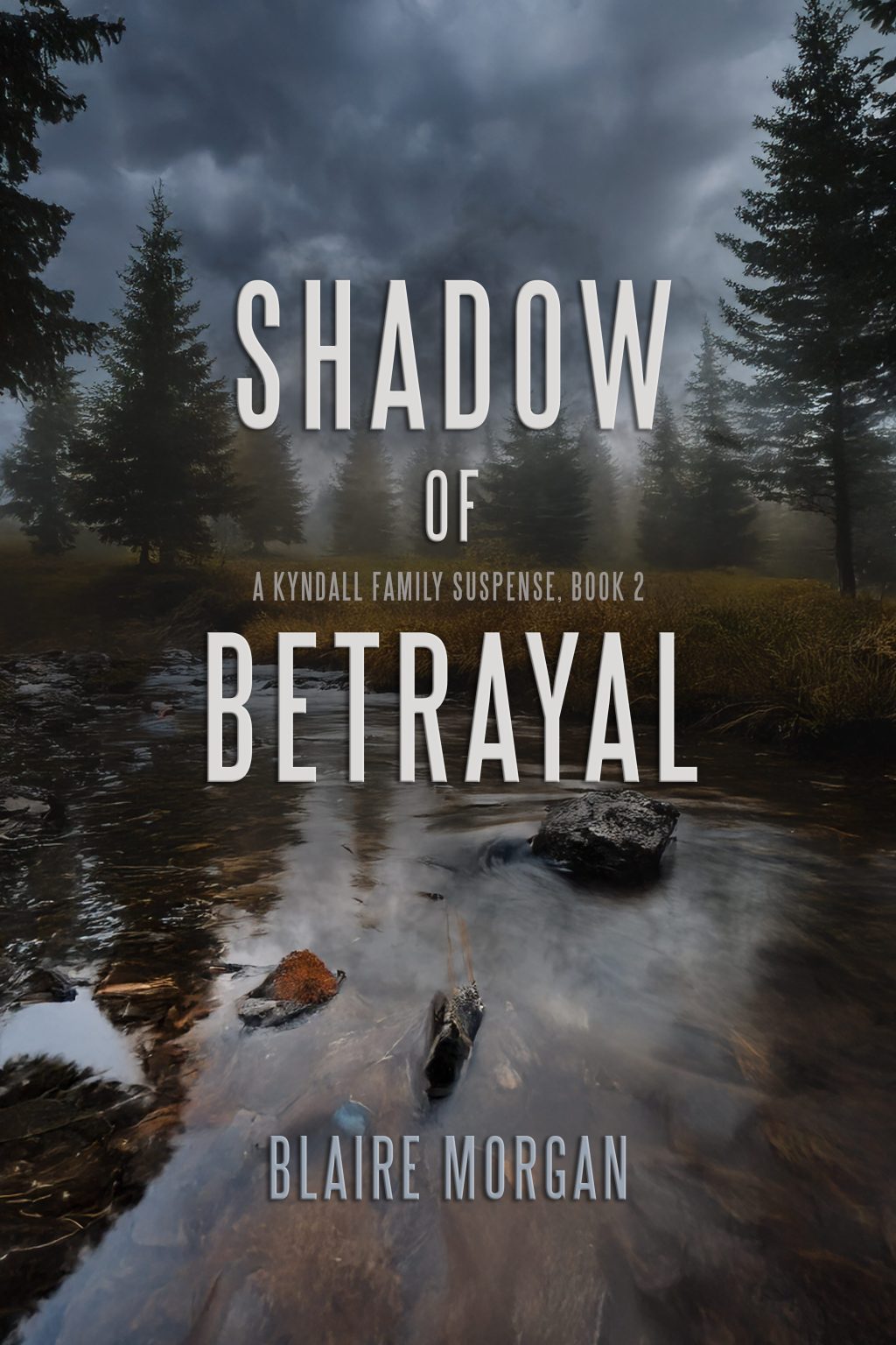 Spotlight : Shadow of Betrayal by Blaire Morgan